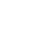 nitz und co logo